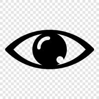 vision, sight, eyeball, opthalmologist icon svg