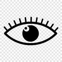 vision, sight, eyeball, pupil icon svg