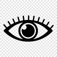 vision, eyesight, eyeball, eyelid icon svg