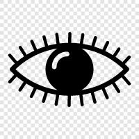 vision, sight, optical, eyeball icon svg