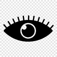 vision, optical, health, Eye icon svg