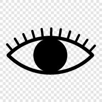 Vision, Eye Care, Eye Doctor, Eye icon svg