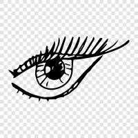 vision, eyeball, retina, optic nerve icon svg