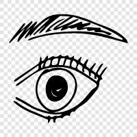 vision, eyeball, optic nerve, retina icon svg