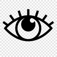 Видение, внимание, оптометрия, глаз Значок svg