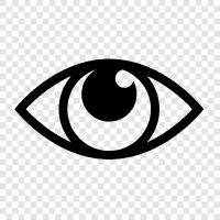 Vision, Glasses, Eye Doctor, Eye Examination icon svg