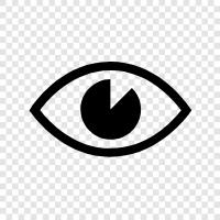 vision, cornea, retina, lens icon svg