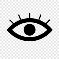 vision, sight, optic nerve, retina icon svg