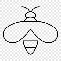 wasp nest, wasp sting, wasp identification, wasp icon svg