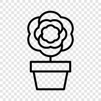 water, flower, pot, garden garden icon svg