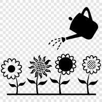 water flowers, watering plants, how to water flowers, how to water plants icon svg