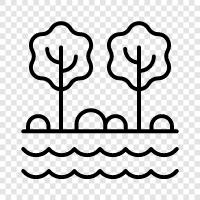 water, nature, park, hiking icon svg