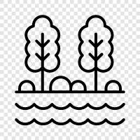 water, stream, riverbank, waterfalls icon svg