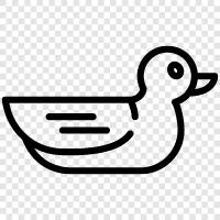 waterfowl, migratory, hunting, wild icon svg