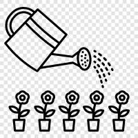 watering can, watering hose, watering plants, watering schedule icon svg