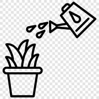 Watering Plants For Beginners icon