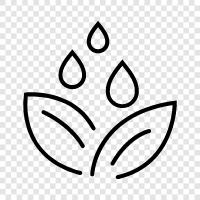 watering plants, how to water plants, how, plant watering icon svg