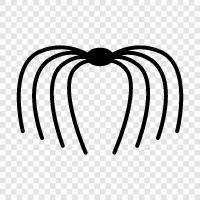 Web, Spiderman, Venom, Spiderwoman icon svg