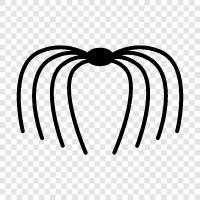 Web, Spiderman, Venom, Spiderwoman ikon svg