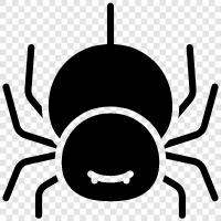 web, spidermann, spiderfrau, arachnid symbol