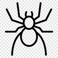 webslinger, arachnid, eightlegged creature, Spider icon svg