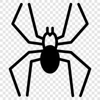 webspinning, spider, spider s web, spider s silken icon svg