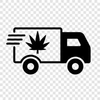 weed delivery, pot delivery, weed delivery service, pot delivery service icon svg