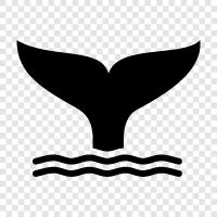 balina, cetacean, su memelisi, okyanus ikon svg