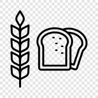 wheat allergy, wheat free bread, gluten free bread, whole wheat bread icon svg