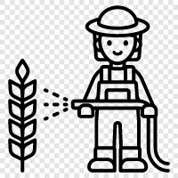 wheat production, wheat farming in canada, wheat farming icon svg