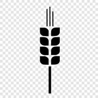 wheat seeds, wheat farming, wheat harvesting, wheat storage icon svg