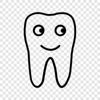 white, teeth, gums, braces icon svg