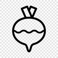 white turnip, yellow turnip, turnip greens, turnip top icon svg