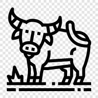 wild, herd, animal, American icon svg