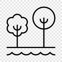 wilderness, trees, plants, flowers icon svg