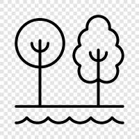 wilderness, forest, sky, land icon svg