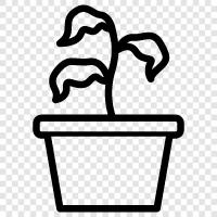 wilted plant, drooping plant, wilting, drooping icon svg
