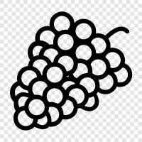 wine, wine production, wine tasting, grapes icon svg