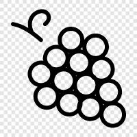 wine, wine making, wine tasting, grape juice icon svg