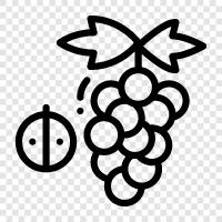 wine, fruit, produce, grapes icon svg