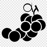 wine, juice, table grapes, raisins icon svg