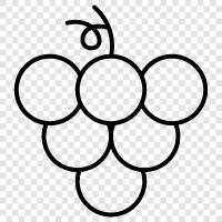 wine, juice, table grapes, fresh grapes icon svg