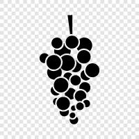 wine, grape, wine production, wine tasting icon svg