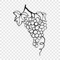 wine, fruit, berry, tart icon svg