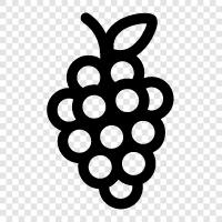 wine, wine grapes, wine making, wine tasting icon svg