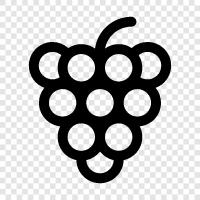 wine, wine grapes, wine making, red wine icon svg