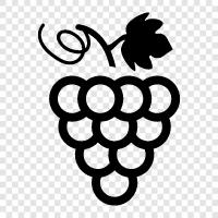 wine, wine production, wine tasting, grapes icon svg