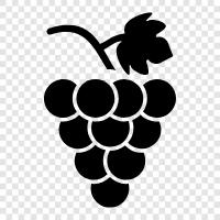 wine, fruit, sour, sweet icon svg