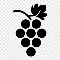 wine, juice, table grapes, cooking with grapes icon svg