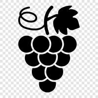 wine, fruits, produce, grapes icon svg